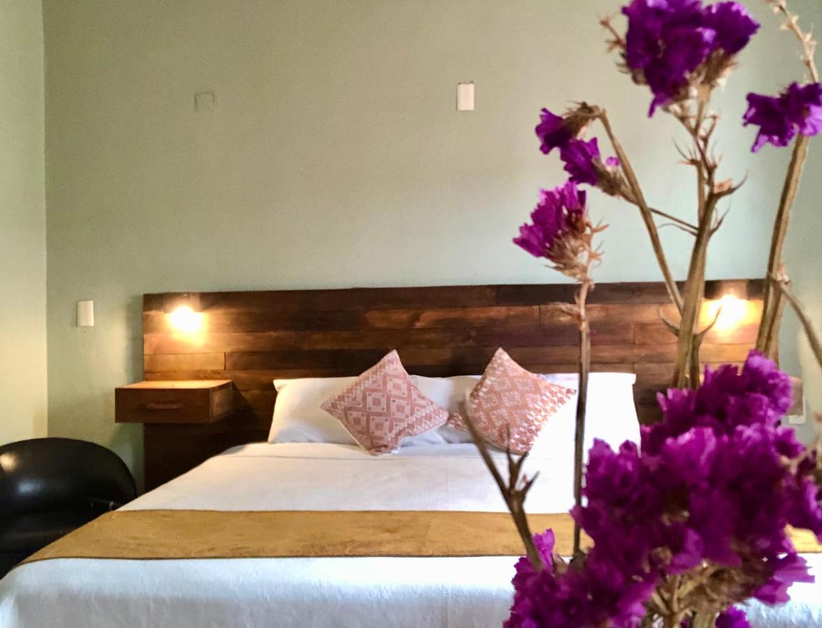Casa Del Alba Hotel San Cristóbal de Las Casas 外观 照片